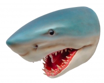 Shark Head Fibreglass #7114